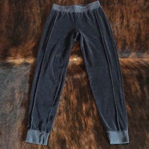 Electric and Rose Chase velour jogger pant